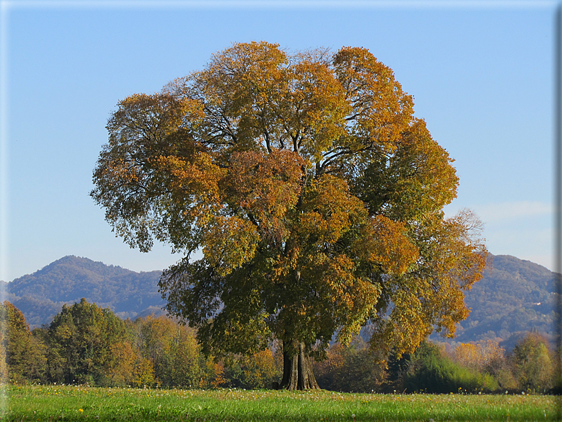 foto Paesaggi Autunnali tra le colline Fontesi